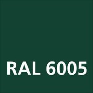 ΧΡΩΜΑ RAL 6005