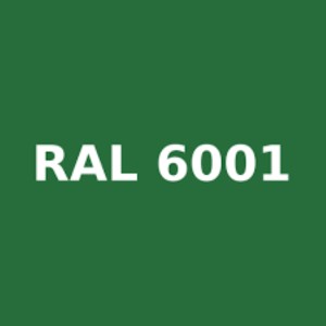 ΧΡΩΜΑ RAL 6001
