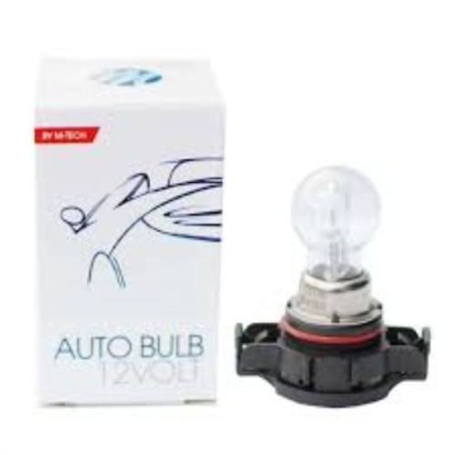 Z70-PSY 12V 19W