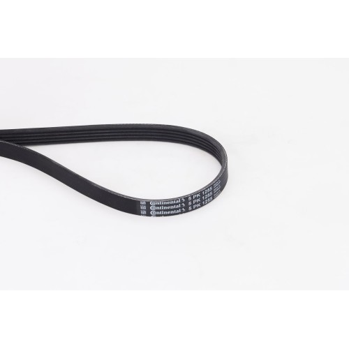 IMANTAS CONTINENTAL 5PK1255