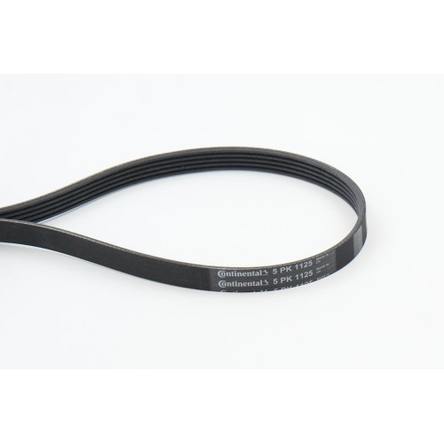 ΙΜΑΝΤΕΣ POLY V 5PK1125