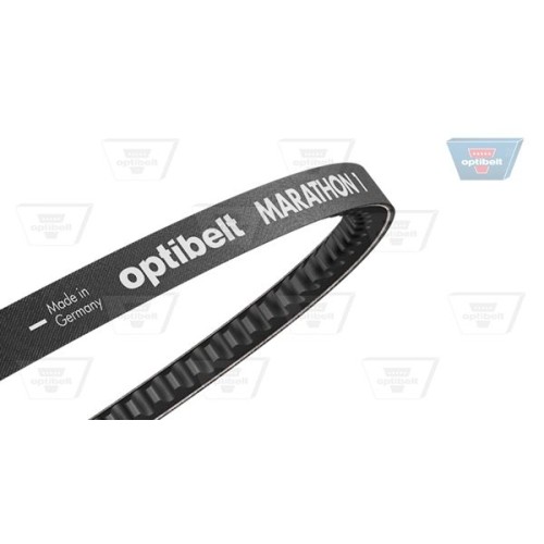 ΙΜΑΝΤΑΣ OPTIBELT AVX10X975