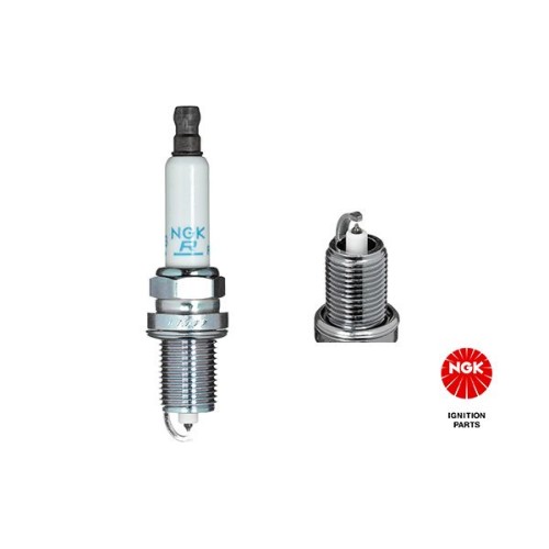 ZFR6BPG (1748) ΜΠΟΥΖΙ (4W)