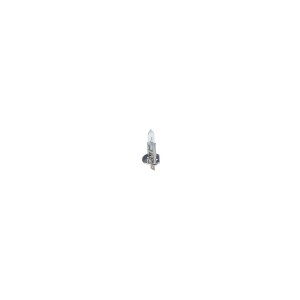 ΛΑΜΠΑ 12V H1 55W BOSCH