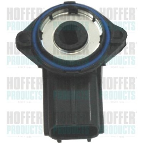 7513098-ΑΙΣΘΗΤΗΡΑΣ ΠΕΝΤΑΛ ΓΚΑΖΙΟΥ FORD F