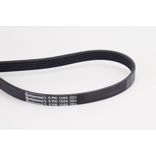 IMANTAS CONTINENTAL 5PK1300