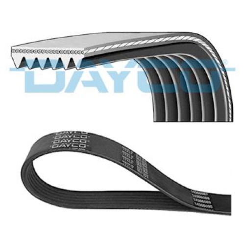 IMANTAS DAYCO 6PK1013