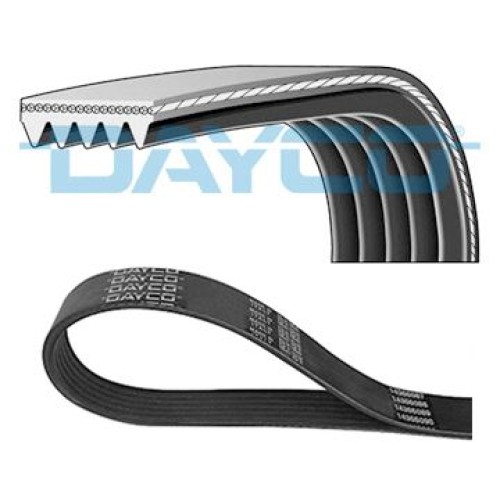 IMANTAS DAYCO 5PK1175