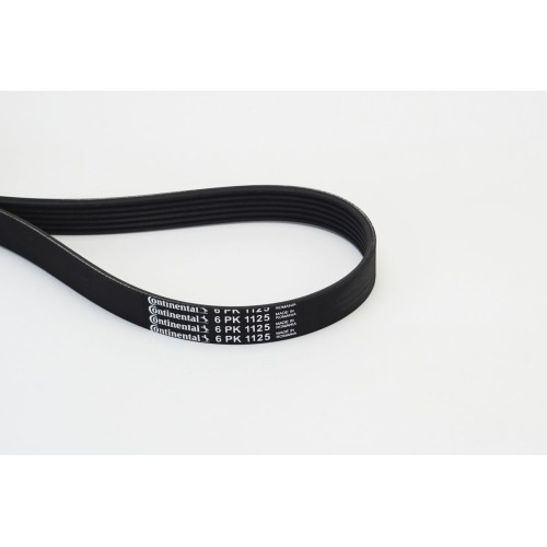 IMANTAS CONTINENTAL 6PK1125